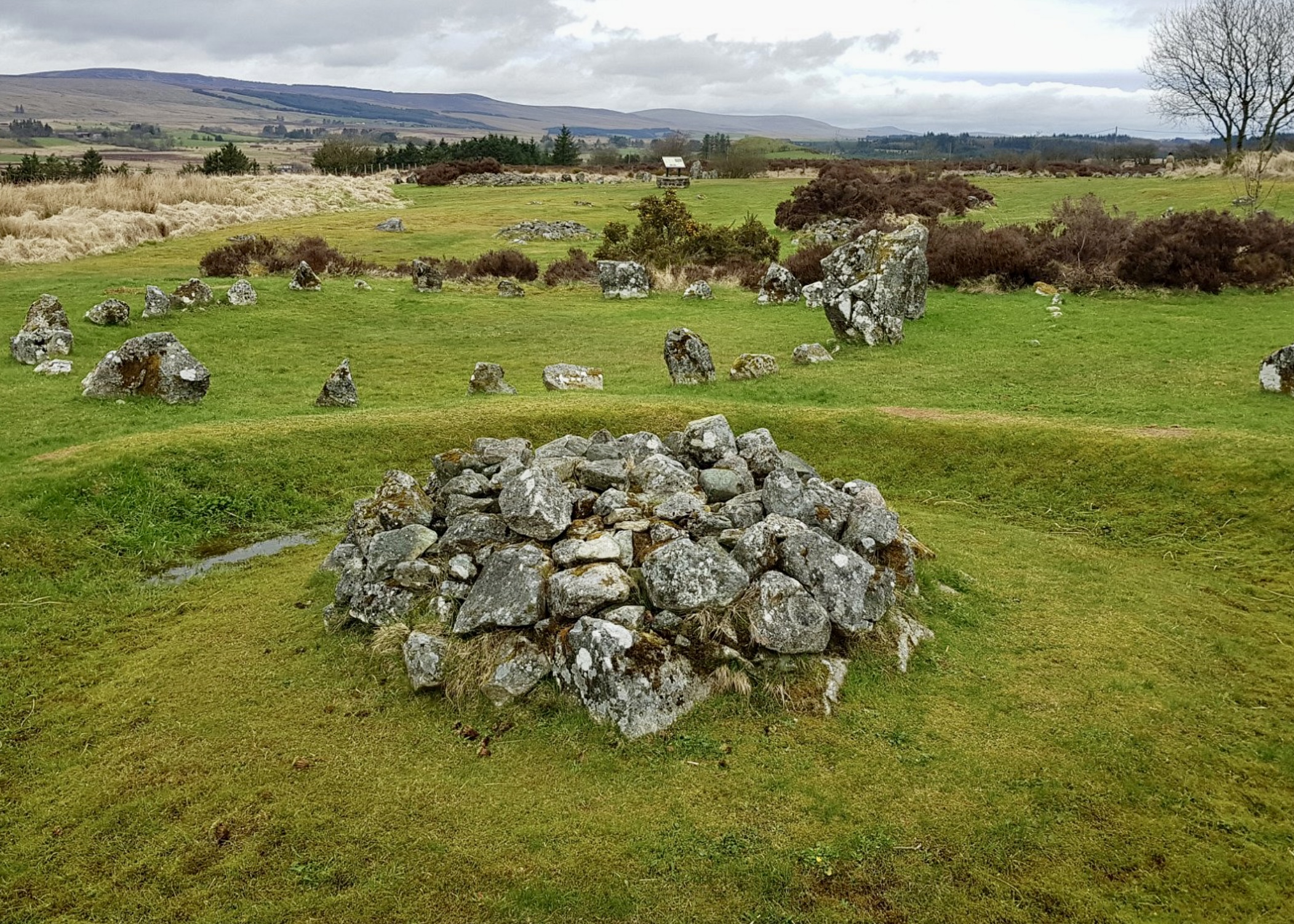Beaghmore Stone Circles