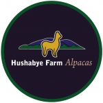 Hushabye Farm Alpacas