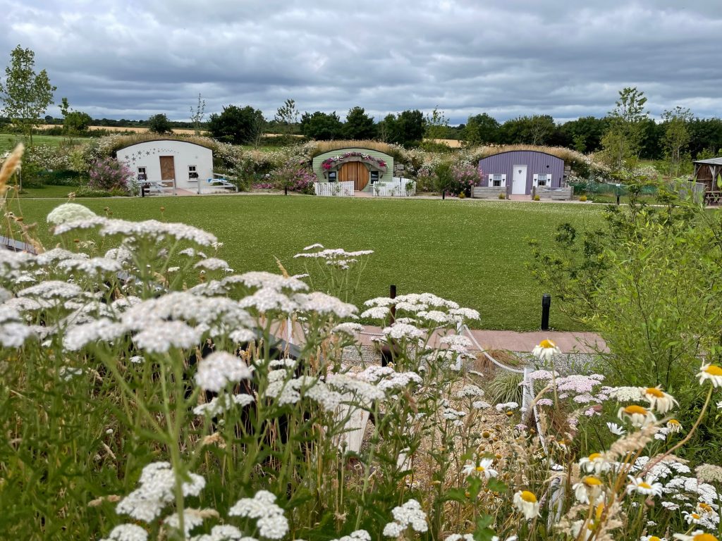 Glamping Under The Stars