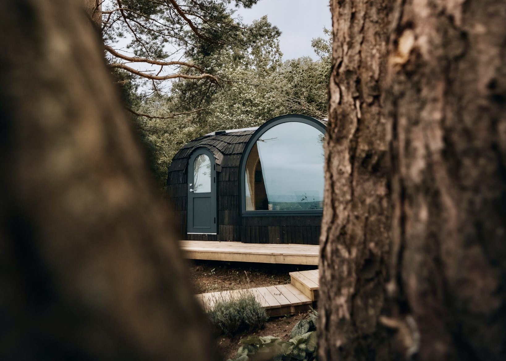 Beech - Eco-Forest Cabin for Families