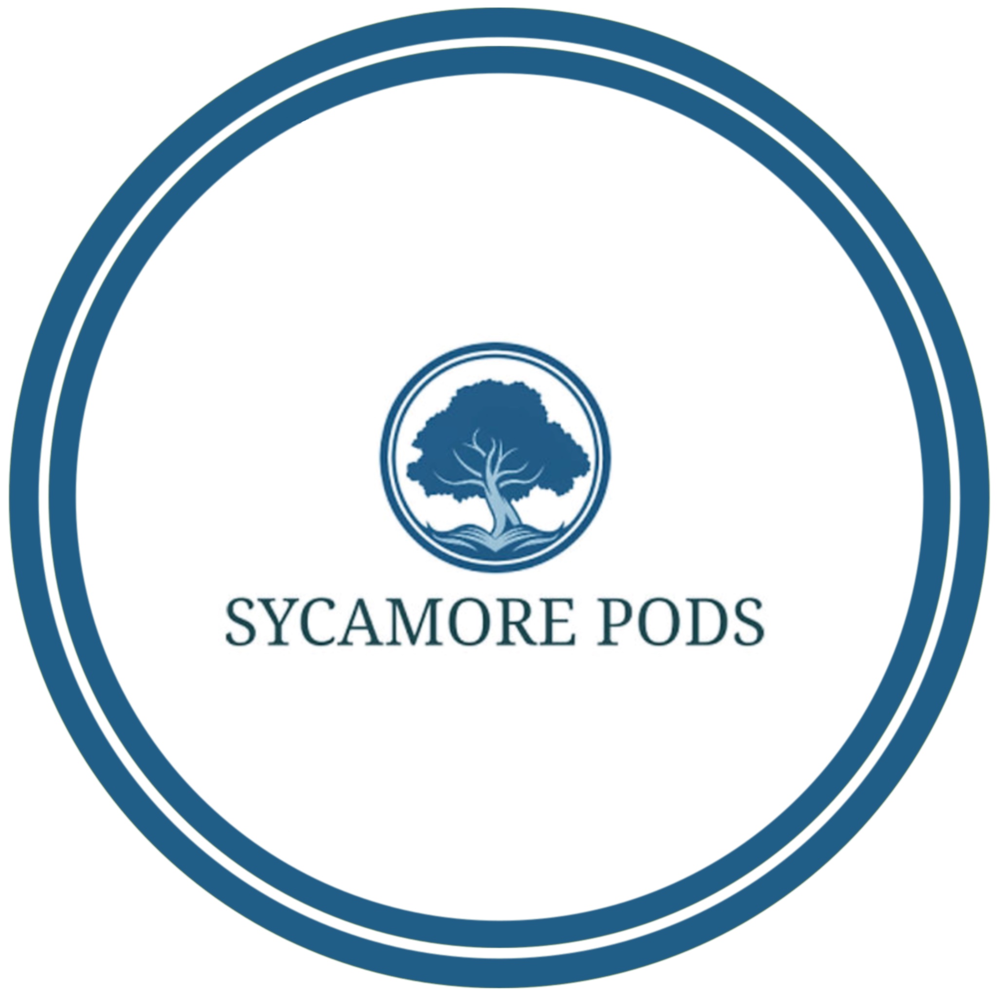 Sycamore Pods